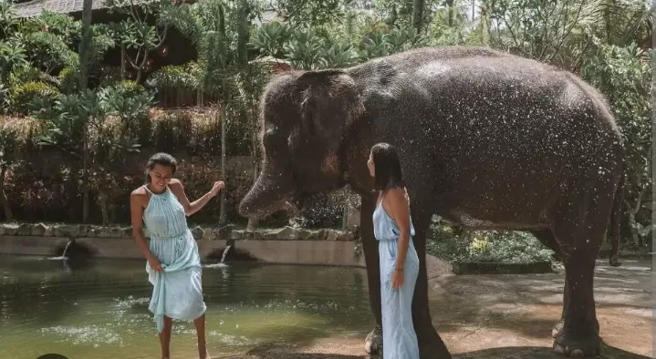Lombok Wildlife Park akan memanjakanmu dengan beragam keseruan, seperti bertemu lebih dari 195 jenis satwa dari 50 spesies berbeda. (Traveloka) (Puspitawati )