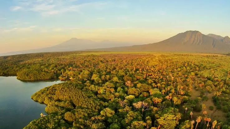 Para pecinta traveling, wajib mengunjungi Taman Nasional Baluran, karena berada di sini kamu akan dimanjakan dengan segala keindahannya. (Wisatakula) (Puspitawati )