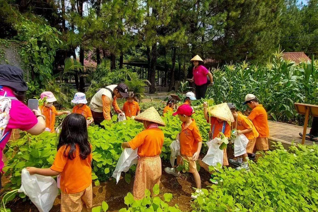 Keseruan ajak si kecil bermain sambil belajar di Kuntum Farmfield. (Instagram) (Puspitawati )