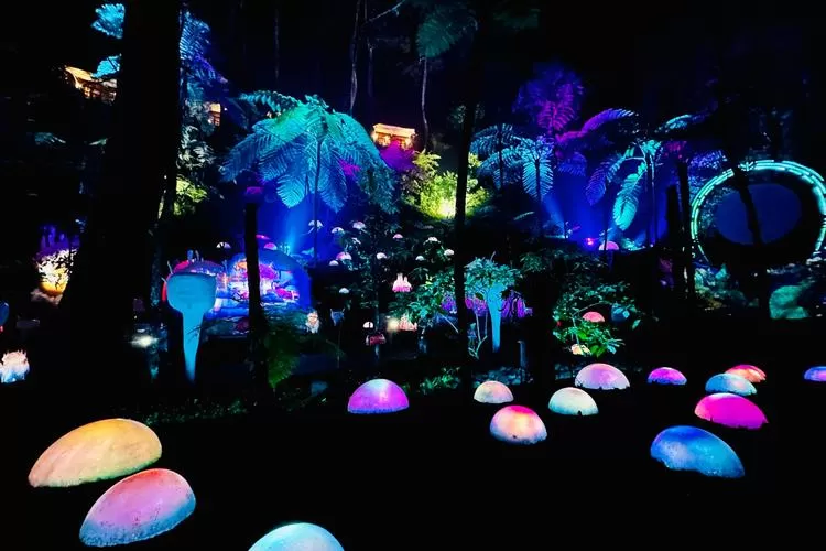 Hutan Mycelia Lembang Bandung Cocok Dikunjungi saat Malam Hari  (Puspitawati )