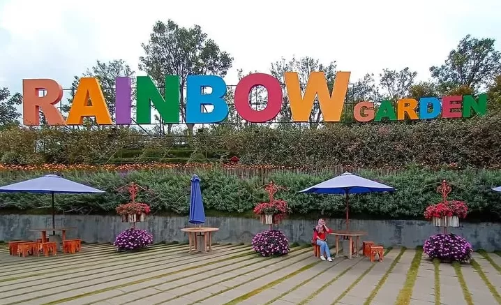 Keindahan bunga-bunga di rainbow garden Lembang (Instagram) (Puspitawati )