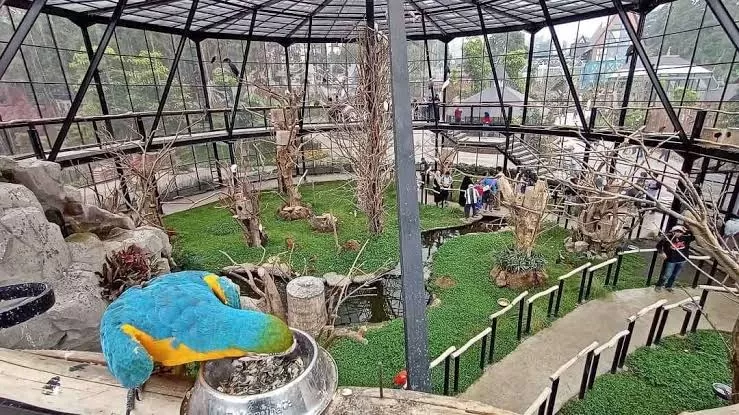 Lembang Park and Zoo (jalan jalan yuk) (Puspitawati )