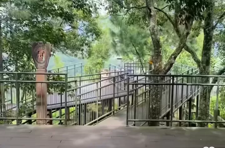 Jelajah Taman Hutan Raya Ir. H. Djuanda (Instagram) (Puspitawati )