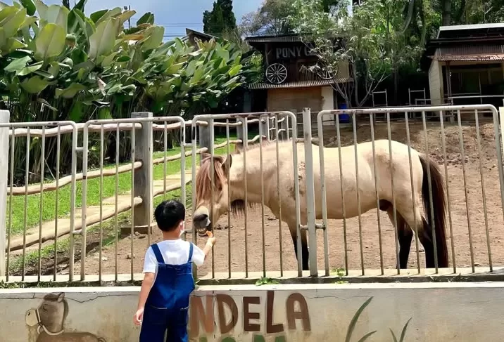 Jendela Alam merupakan destinasi tepat untuk berlibur bersama si kecil di Bandung (Instagram) (Puspitawati )