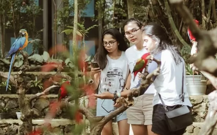 Bird Pavilion (Instagram) (Puspitawati )