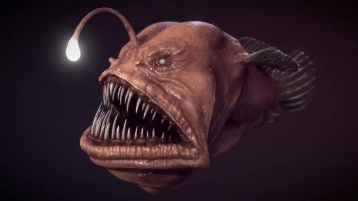 Mengenal Ikan Anglerfish Bungkuk (Puspitawati )