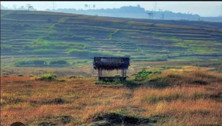 Sabana Deltamas (penelitian pariwisata) (Puspitawati )
