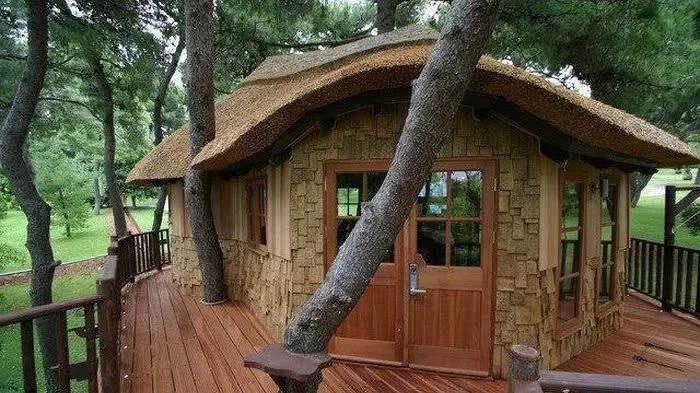 Rumah pohon jatiasih (Puspitawati )