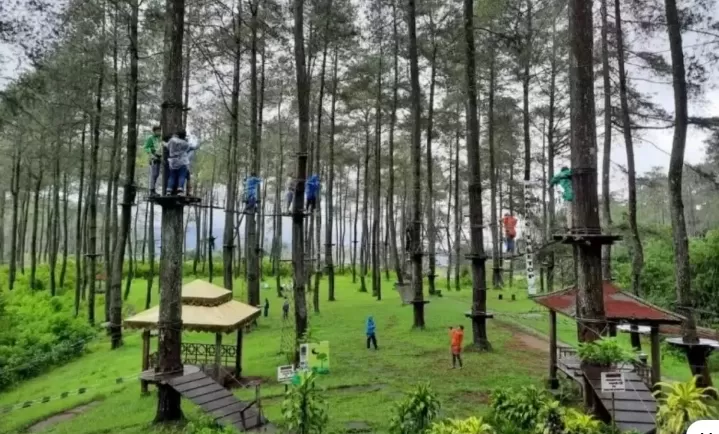 Keseruan wisata gunung pancar (dejava.net) (Puspitawati )