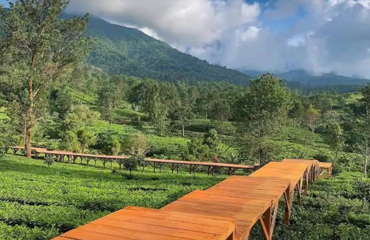 Mengetahui 4 perusahaan di bogor yang disegel pemerintah (Puspi )