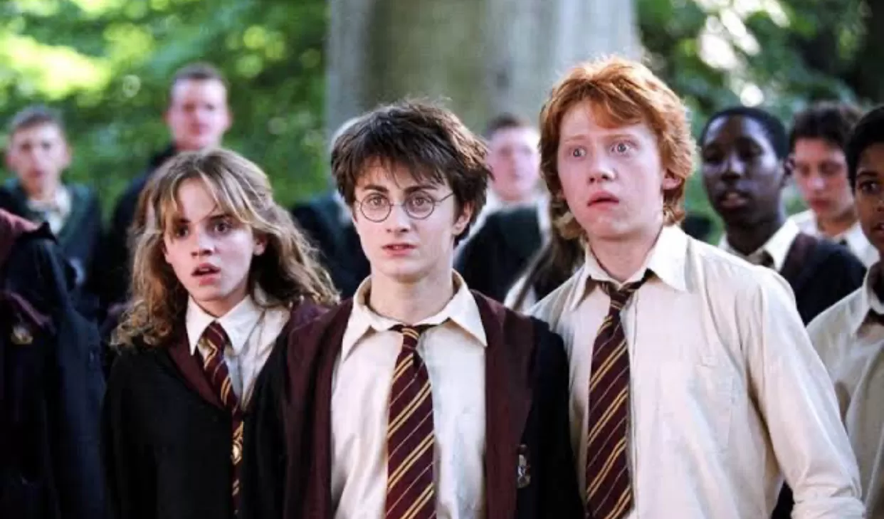 sinopsis harry potter (puspita )