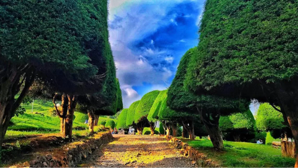 keindahan bukit jamur ciwidey (wisata info) (puspita )