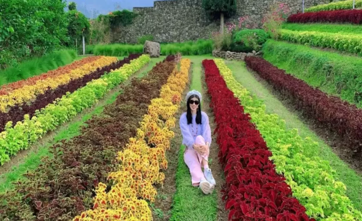 Eksplorasi Wisata Happy Farm Ciwidey (instagram) (puspita)