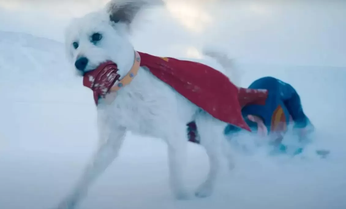 Mengenal Krypto, Sahabat Setia Superman (puspita)