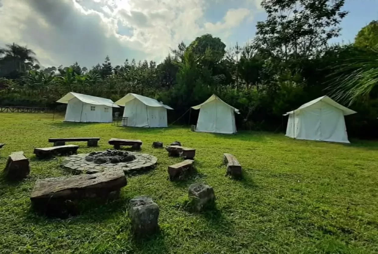 intip keseruan berkemah di Pine Forest Camp (instagram) (puspita)
