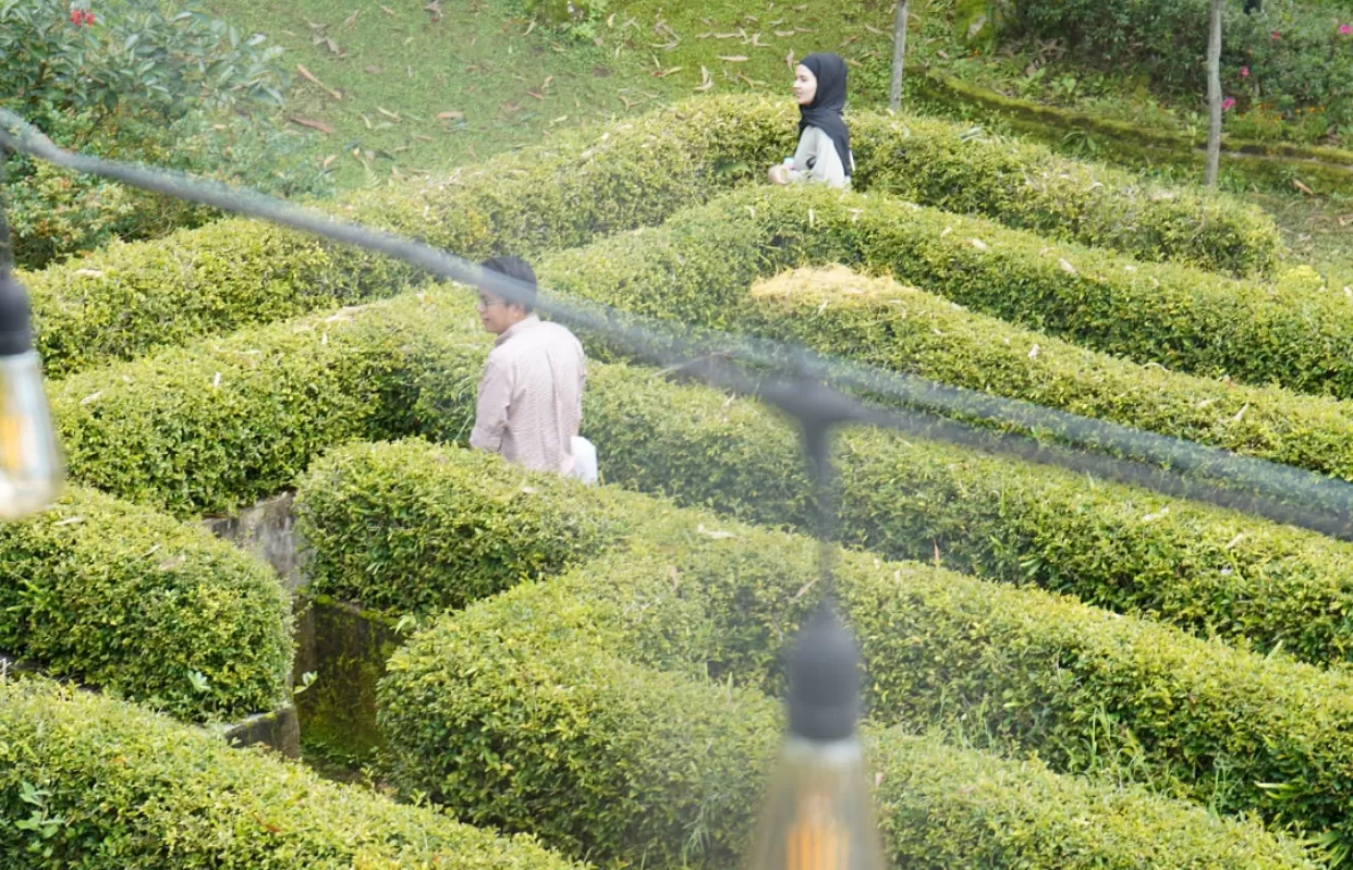 Ada keseruan apa saja di Ciwidey Valley Resort? Yuk simak ulasan ini! (instagram) (puspita)