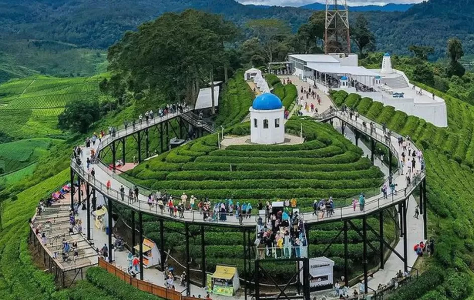 Nimo Highland (puspita)