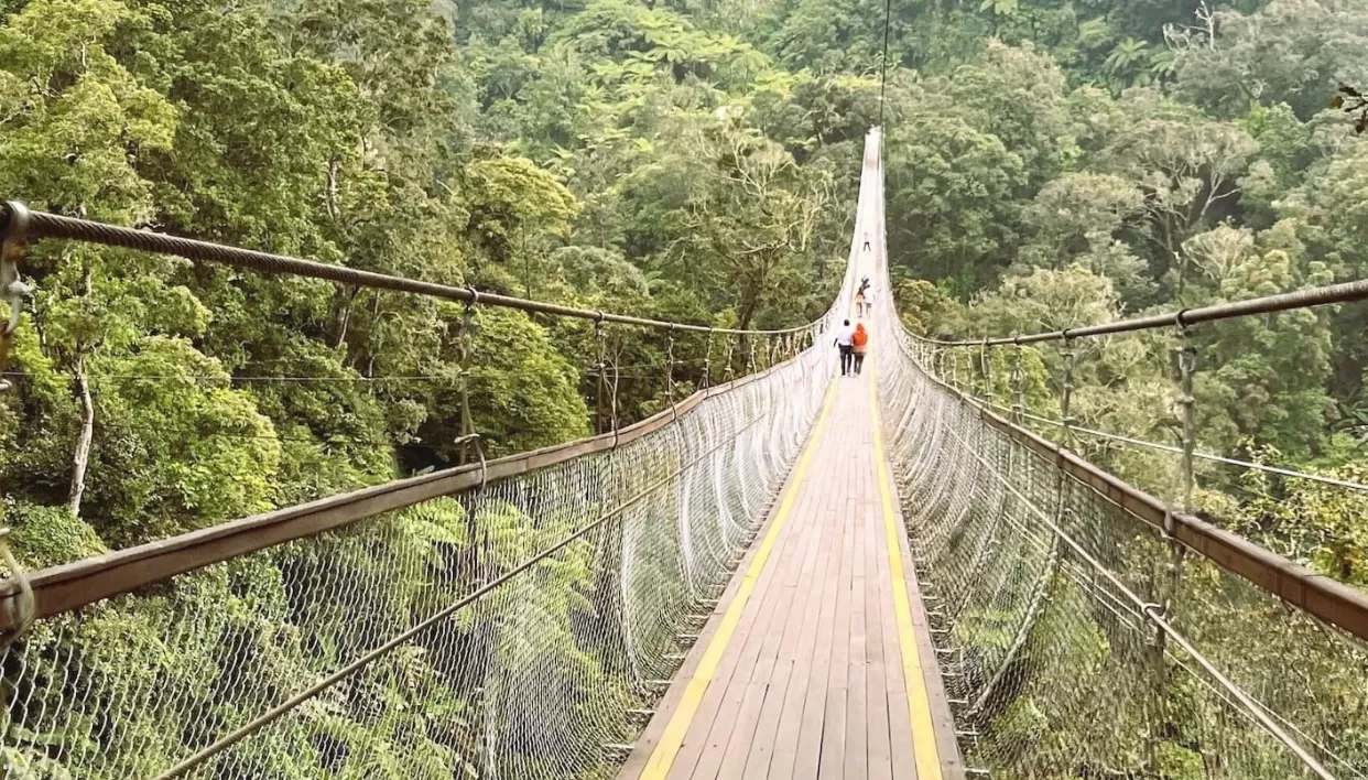 Rengganis Suspension Bridge  (puspita)