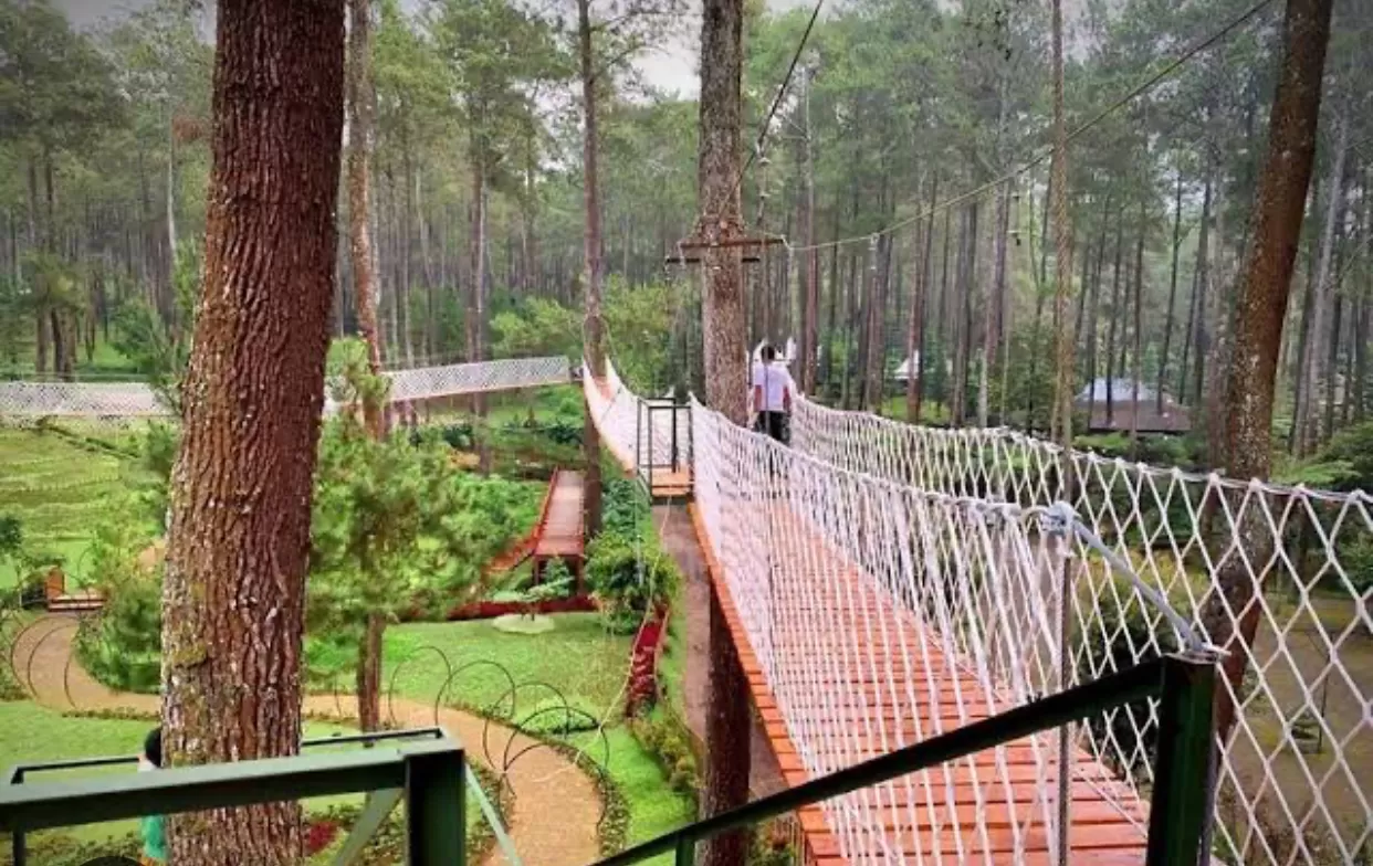 keseruan berlibur di Kebon Pines Lembang (instagram) (puspita)