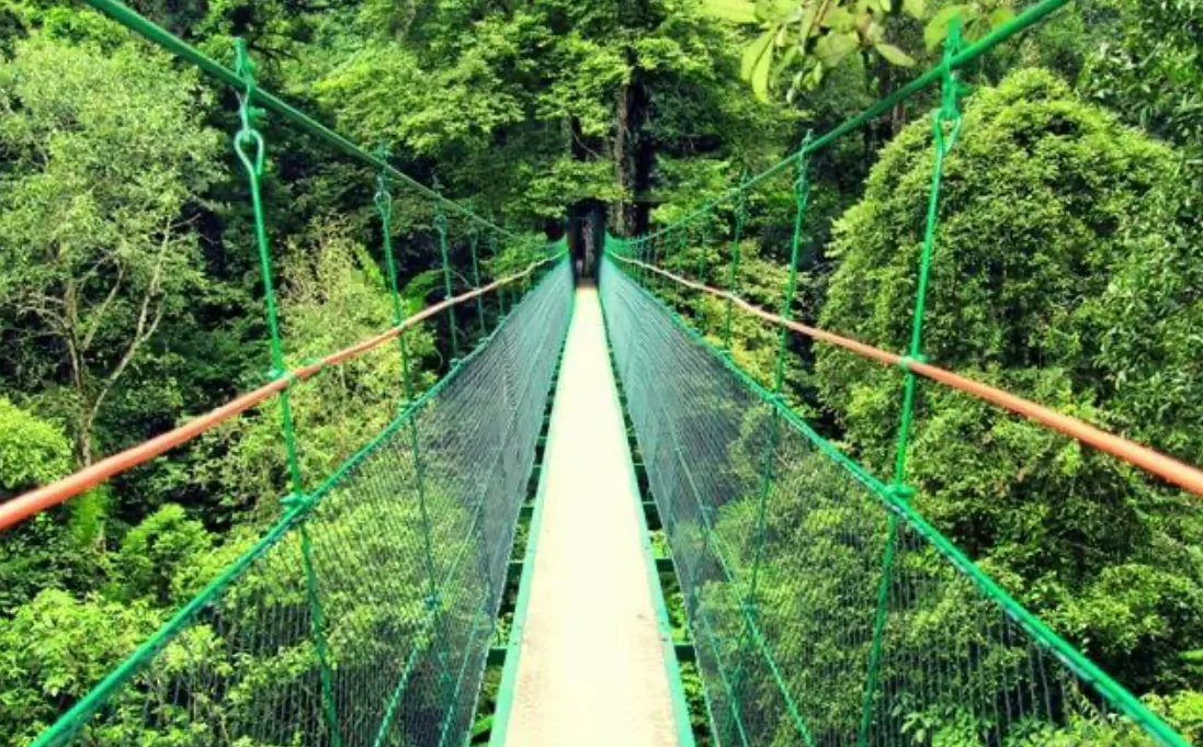 Canopy Trail Ciwalen (glampingcibodas) (puspita )