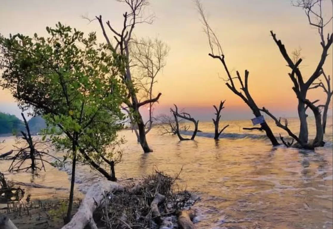 wisata pantai cirewang subang (jawara wisata) (puspita)