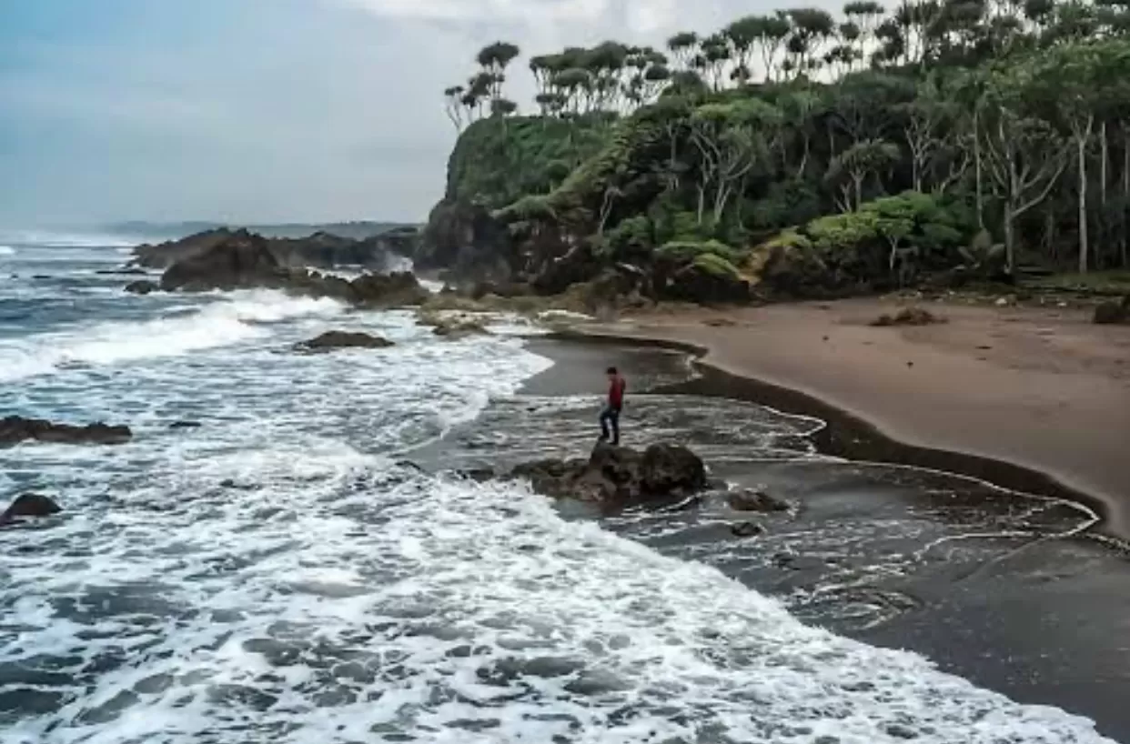 Menilik Pantai Kalapa Patimban (puspita)