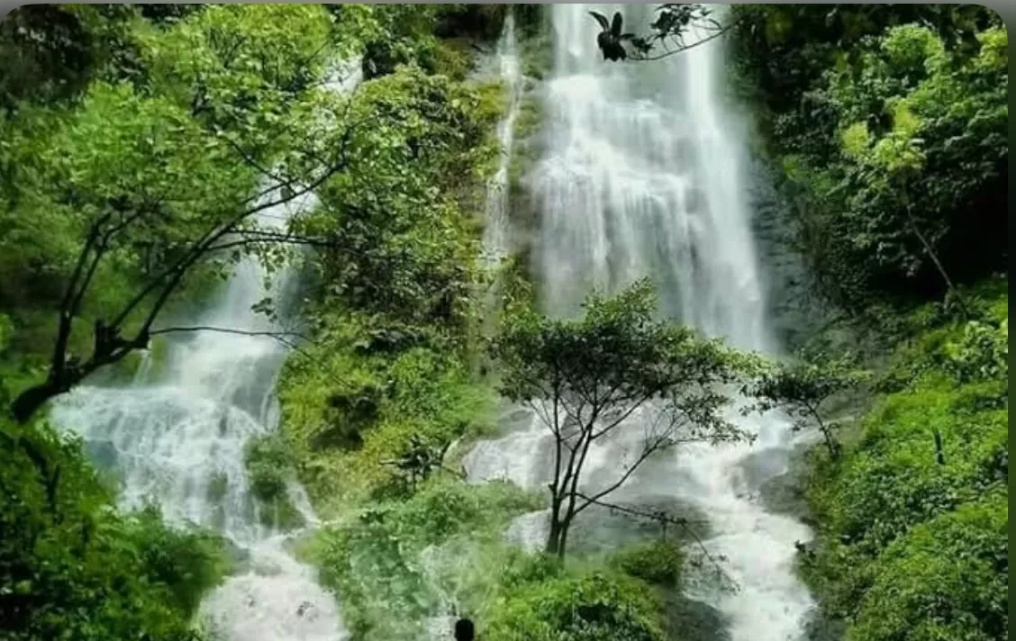 Pesona Curug Wangun (puspita)