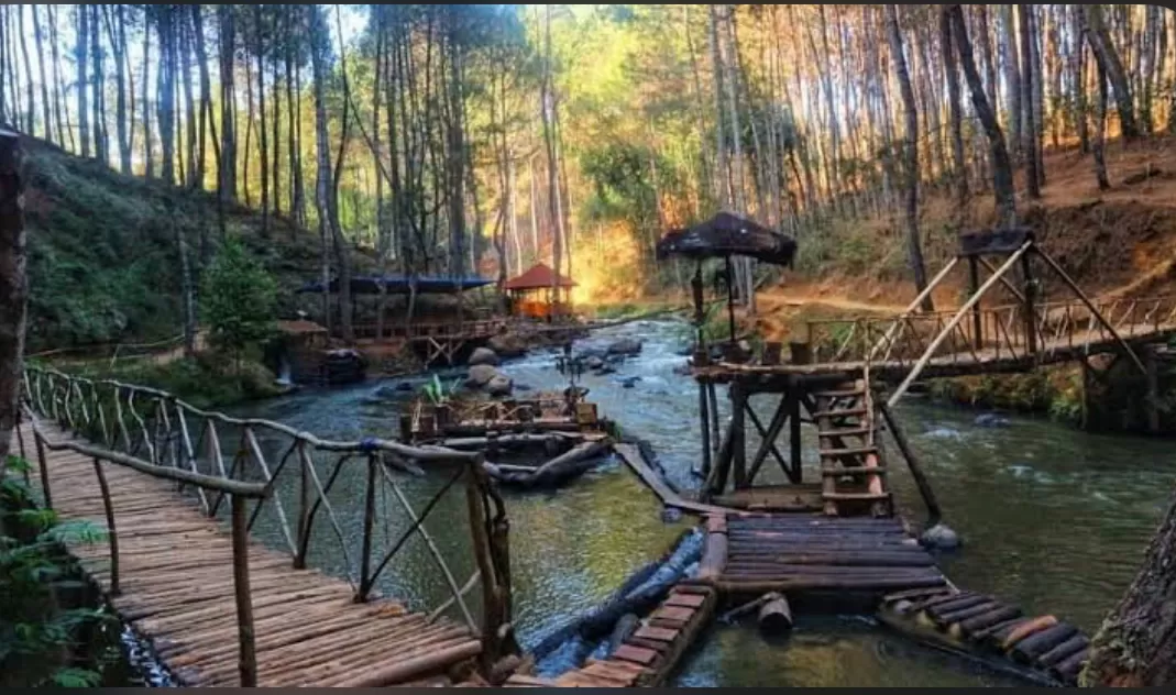 Wisata Hutan Pinus Rahong  (puspita)