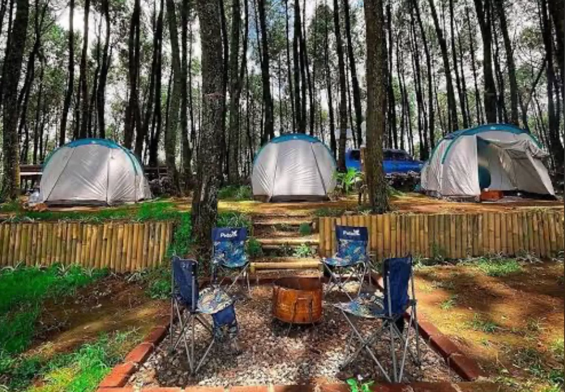 Datar Pinus Camp (instagram) (puspita)