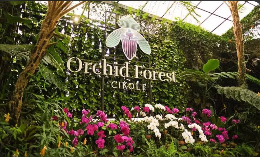 Cari tempat liburan? Orchid Forest Cikole Jawabannya (puspita)