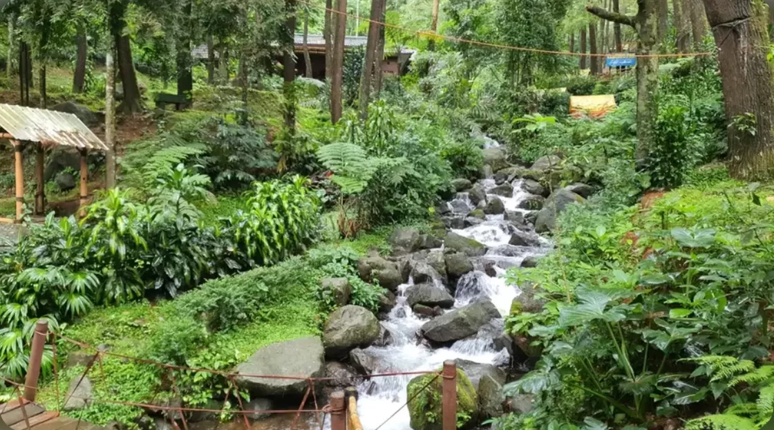 Pesona Curug Ciburial (puspita)