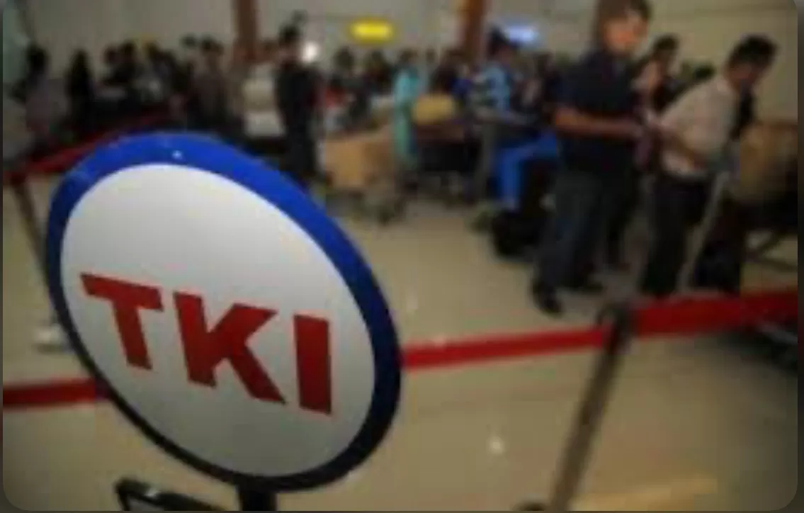 5 langkah awal menjadi tki  (puspita)