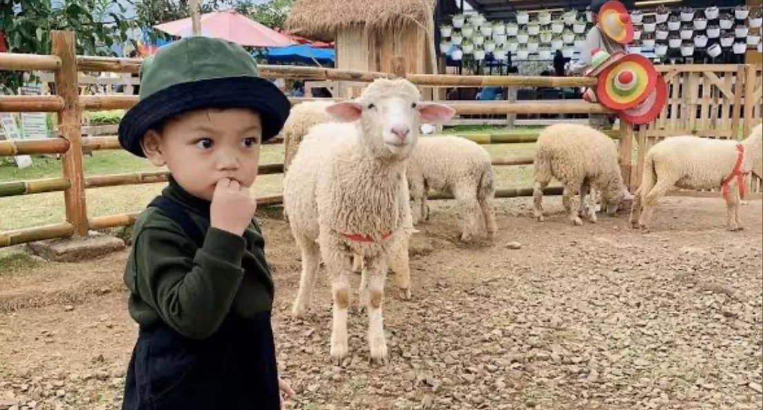 Tepi Kota Healing (wisataapp) (puspita )