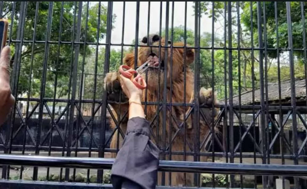 Taman Satwa Cikembulan (puspita)