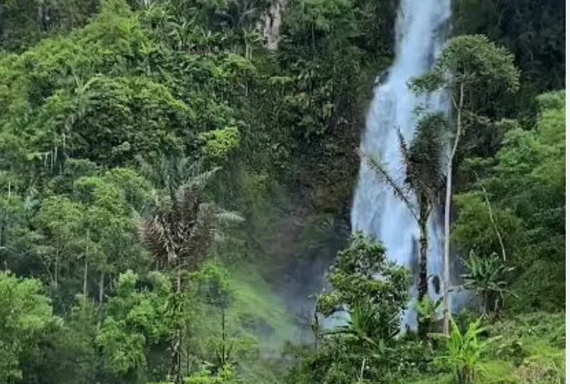 Curug Kubang (puspita)