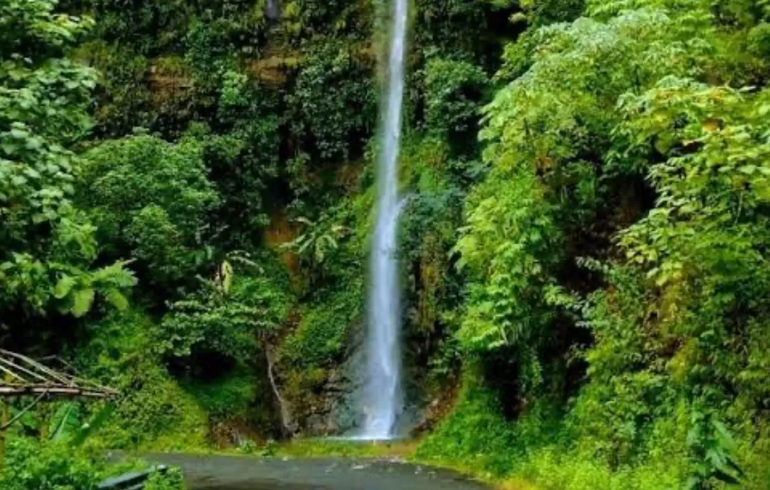 Curug Ceret Naringgul (puspita )