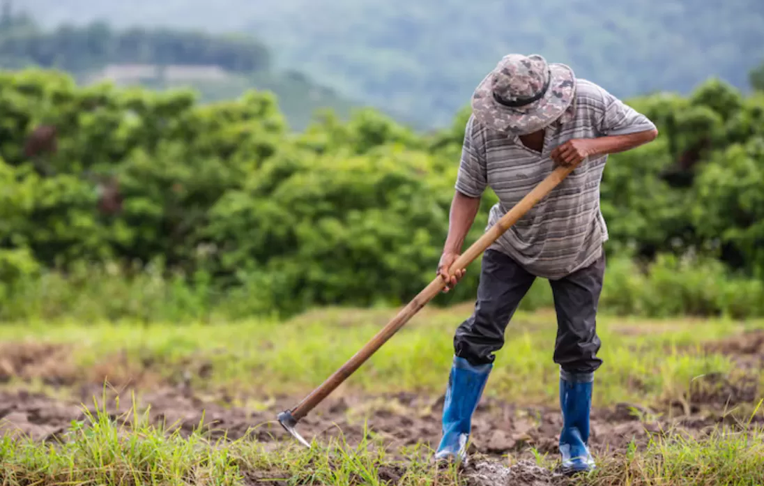 24 September Jadi Hari Tani Nasional, Ini Fakta-faktanya (freepik) (puspita )