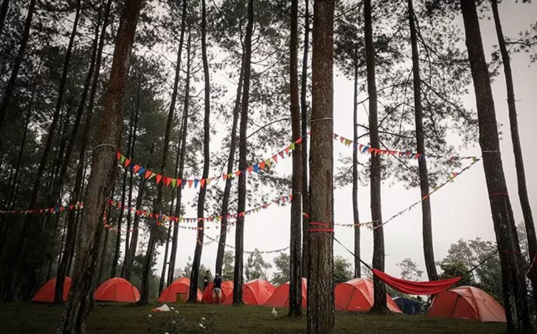 Wisata Camping? Darmacaang HillJawabannya!  (puspita)
