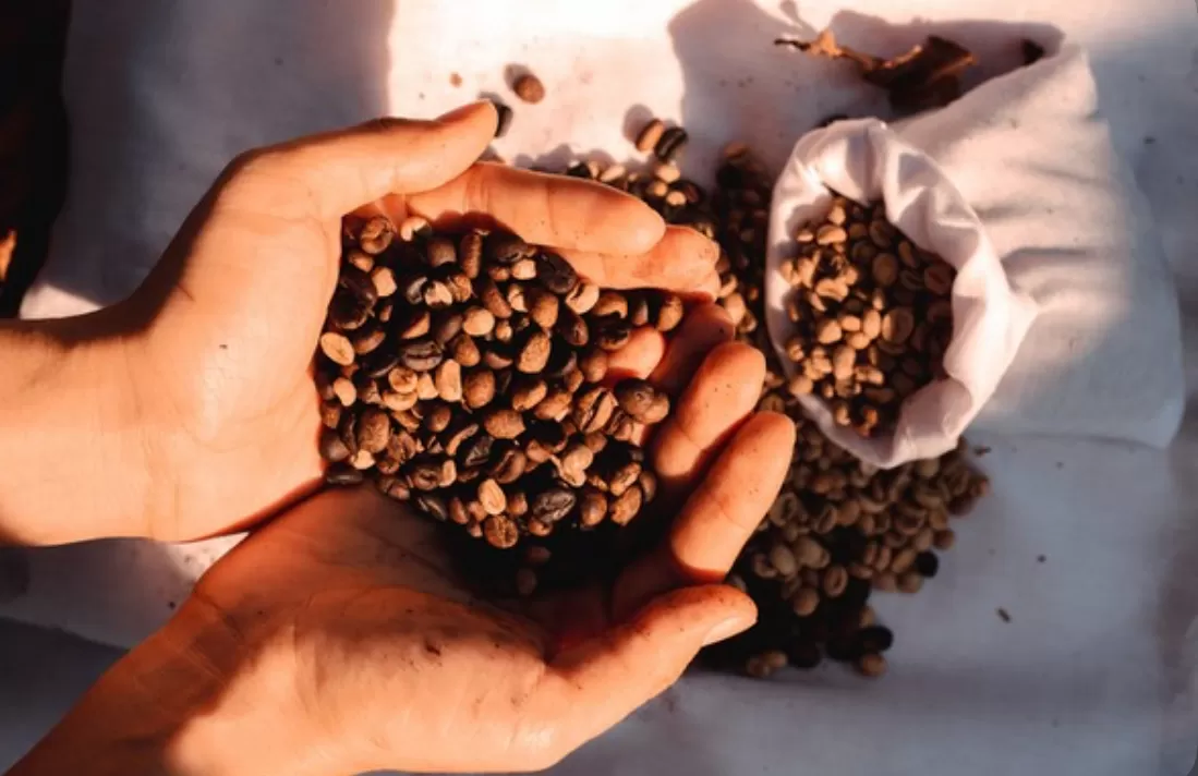 Sejarah Hari Kopi Internasional  (puspita )