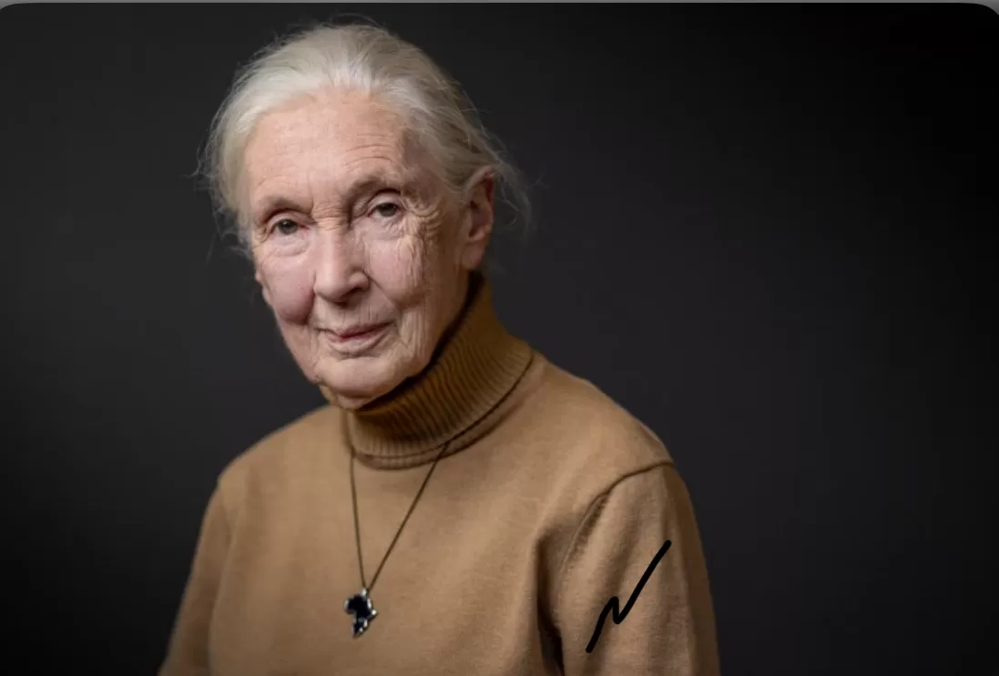 Pesan Terakhir Dr. Jane Goodall (puspita)