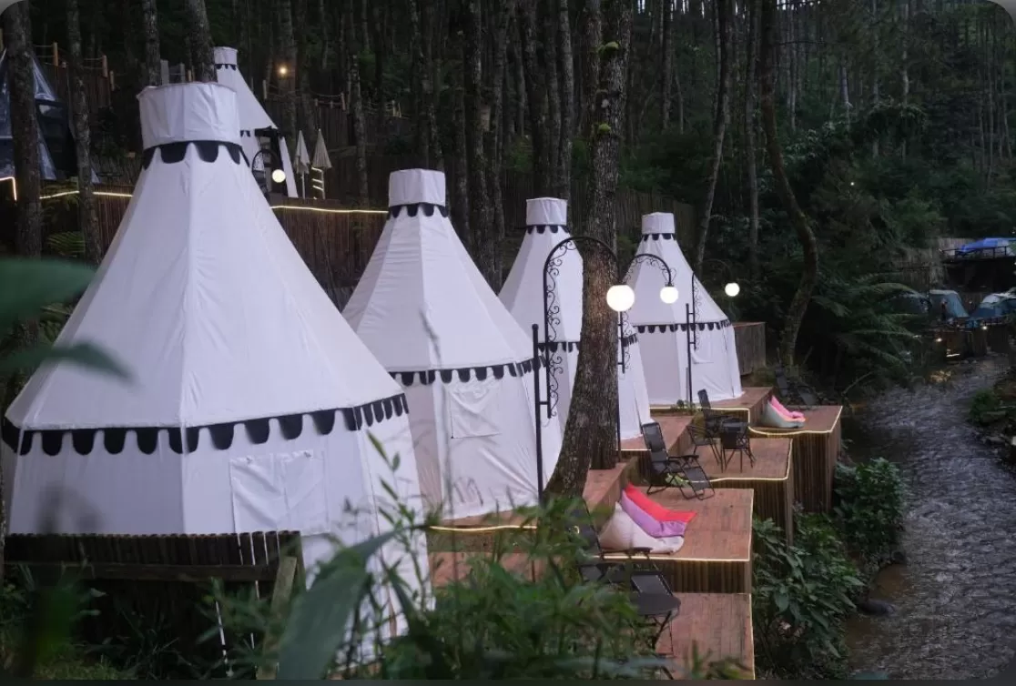 Regan LuxCamp (puspita)