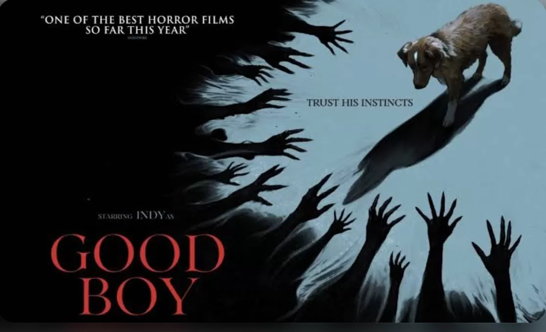 Keseruan Film Good Boy (puspita)