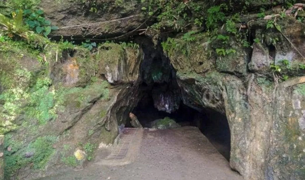 Gua Safarwadi (puspita)