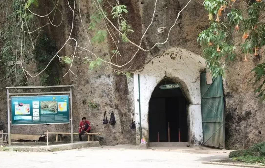 Goa Belanda (puspita)