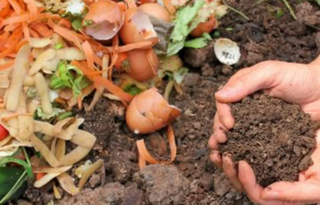 pupuk kompos  (puspita)