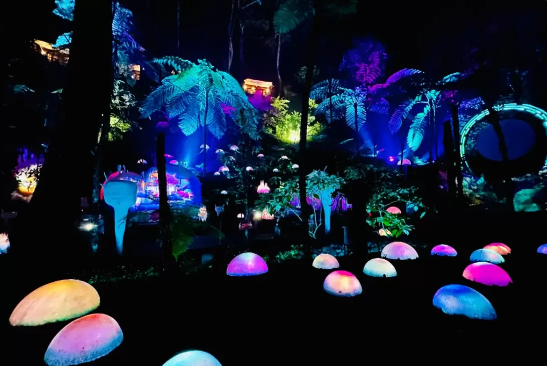 Hutan Mycelia (puspita)