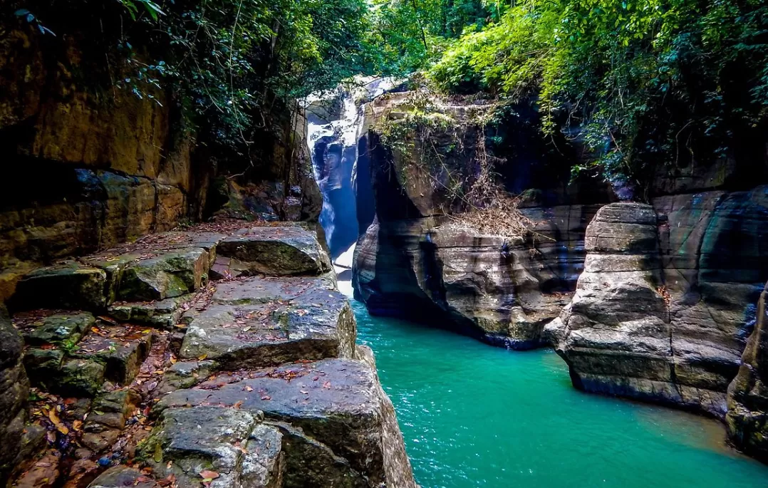 Cunca Wulang (puspita)