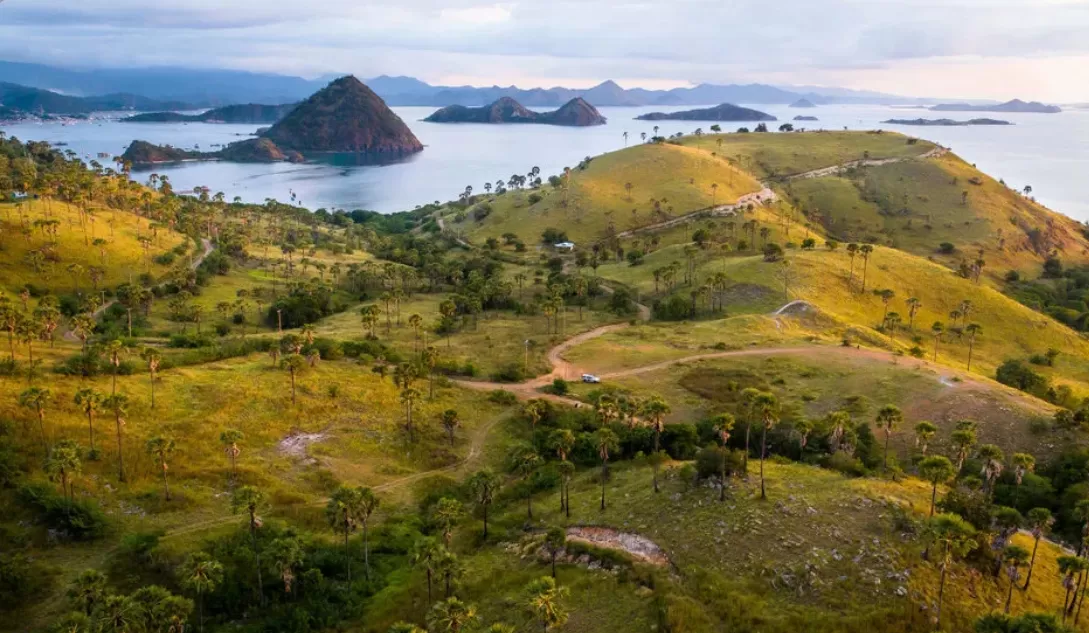 Bukit Sylvia Labuan Bajo (puspita)