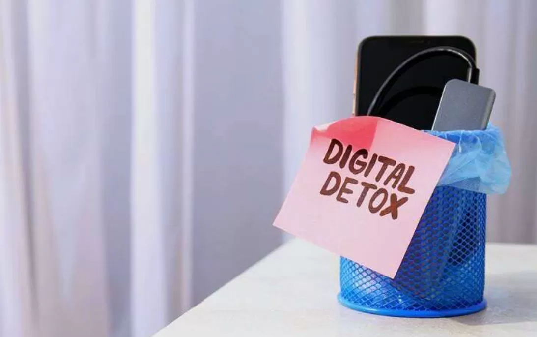 Digital Detox  (puspita )
