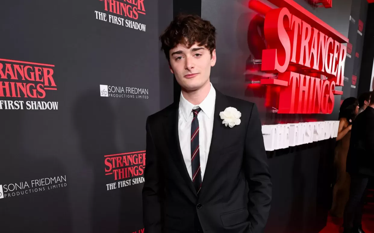 Noah Schnapp Stranger Things (puspita)